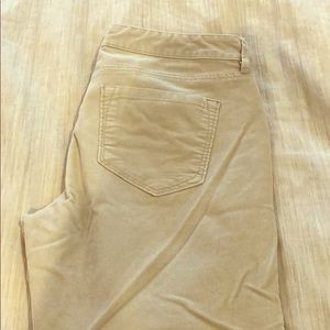 LOFT Modern Straight Corduroy Pants - khaki